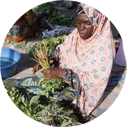 Economic Development Circle Icon